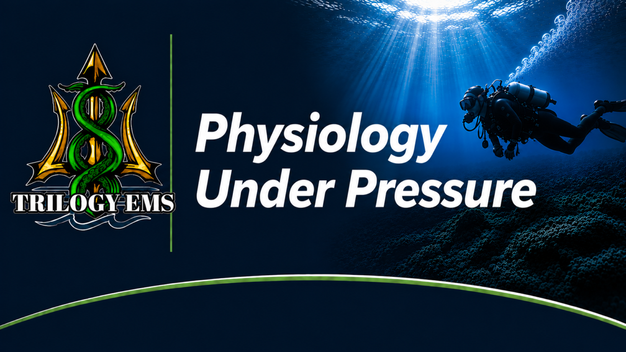 Diving physiology under pressure