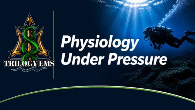 Diving physiology under pressure