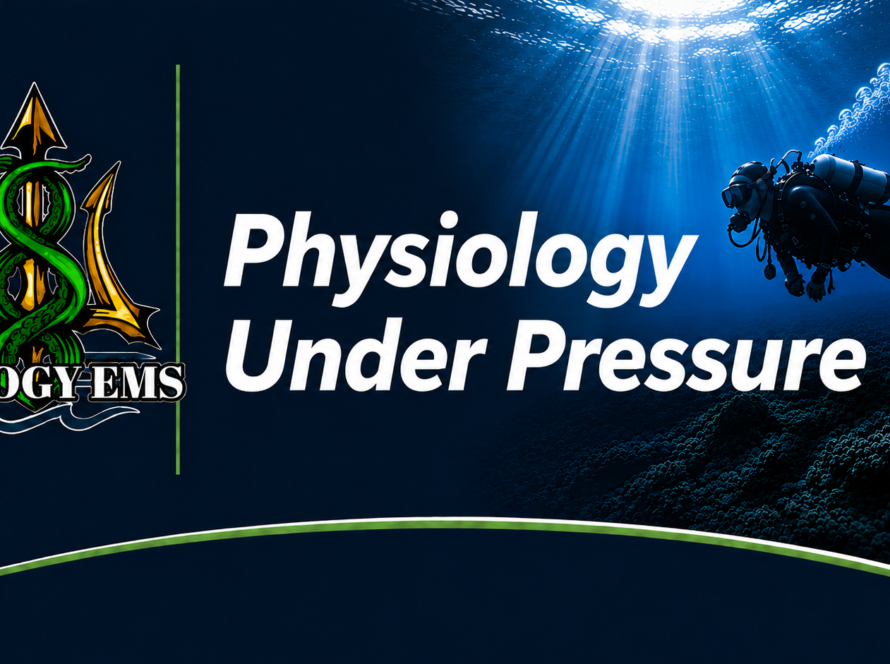 Diving physiology under pressure