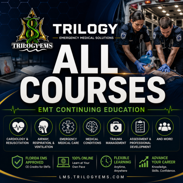 All Courses