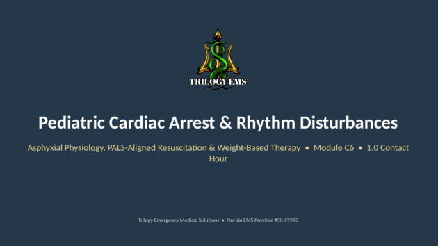 Pediatric cardiac arrest online paramedic continuing education course