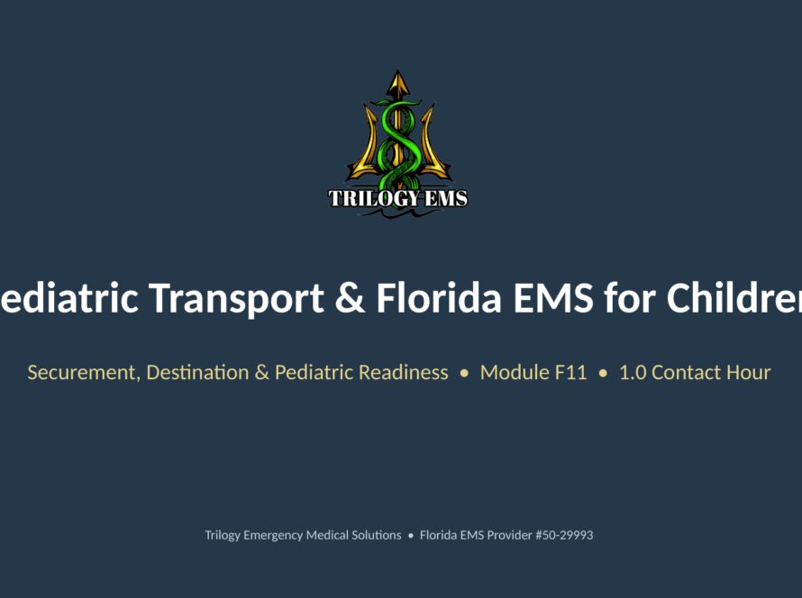 Pediatric transport online paramedic continuing education course