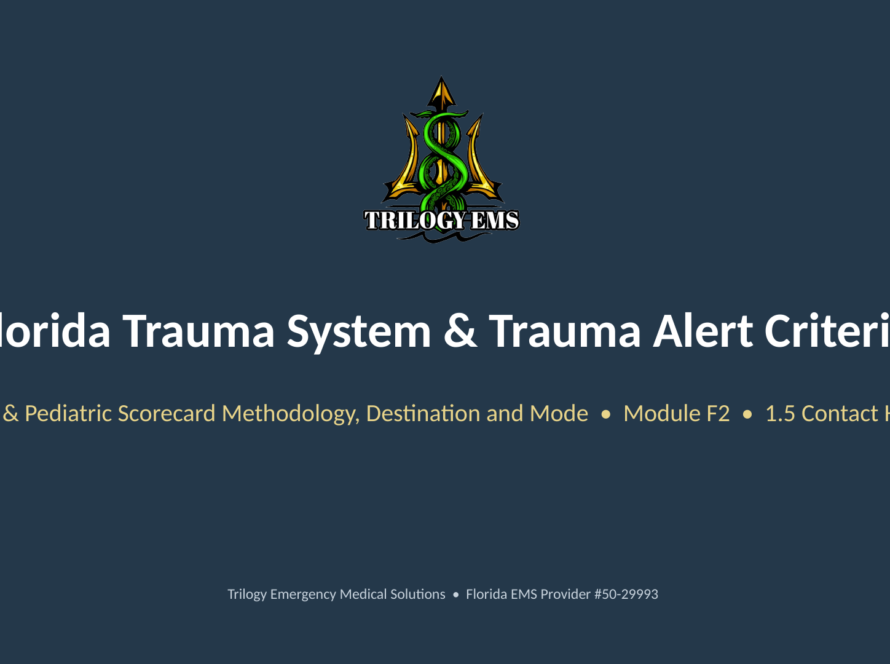 Florida trauma system online paramedic continuing education course