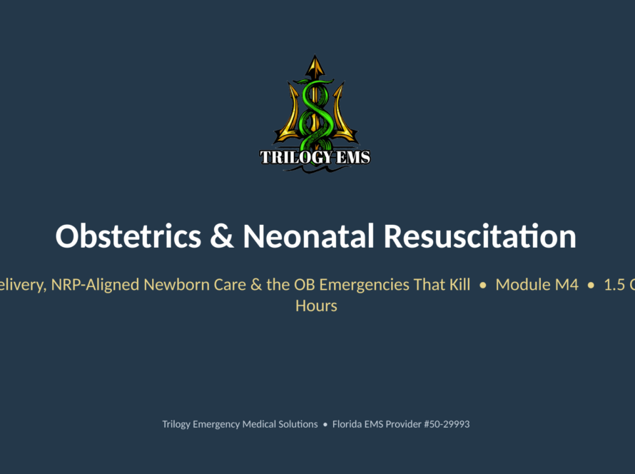 Obstetrics and neonatal resuscitation online paramedic continuing education course