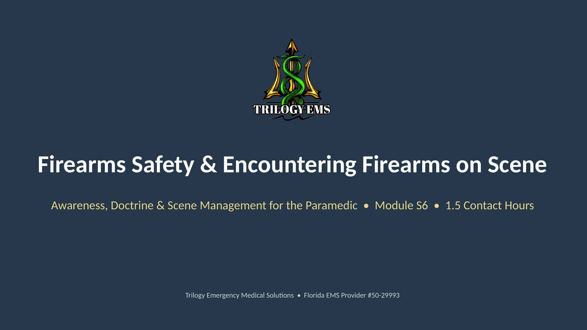 Firearms safety for EMS online paramedic continuing education course